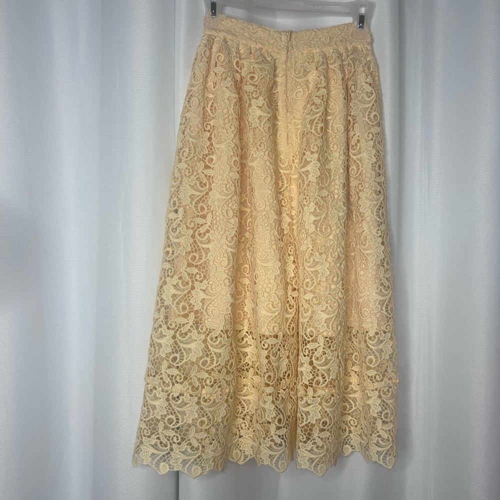 H&M Lace Midi skirt - Picture 11 of 12